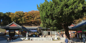 영천가볼만한곳, 은해사에서 중앙암(돌구멍절)