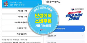 민생지원금 잔액조회와 지역변경 하는 방법