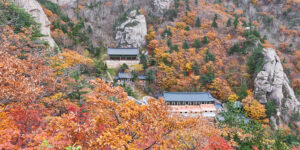 설악산 단풍 절정시기와 명품코스 Best5