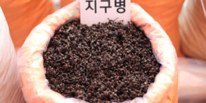 간에 좋은 차의 피로회복제