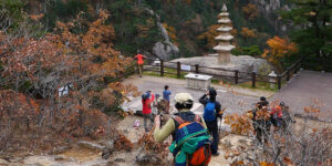 웰에이징 vs 안티에이징! 60대가 알아야 생활습관 케어