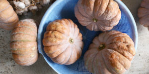 늙은호박 효능