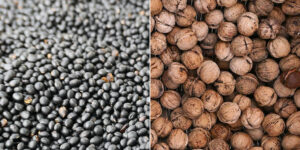 60대 치매계방 식단과 정부 지원금 소개