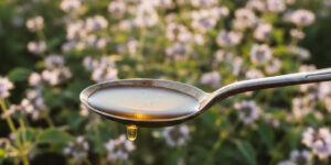 아침 공복 들기름 한 스푼