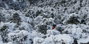 실시간 국립공원 CCTV와 산악날씨 확인하는 법