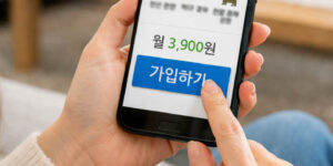 미니보험과구독형 보험상품 추천