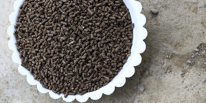 유박 비료 시비 시기와 방법