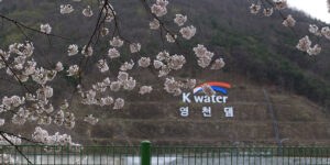 영천댐 벚꽃백리길 드라이브 코스