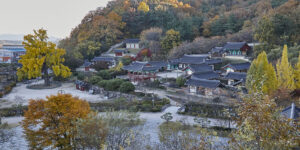경북 영천 반값여행