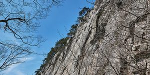 팔공산 하늘정원
