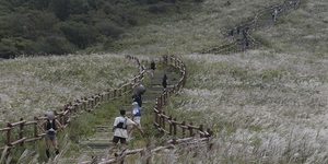 걷기 좋은 숲길
